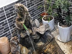 -西江美食舫·江西菜(健德桥店)