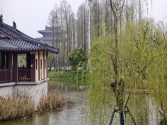 -江心屿景区