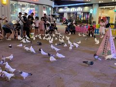 -大鹏佳兆业广场