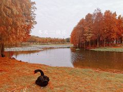 -厦门园林博览苑