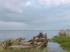 -七的湖·晚芳亭·阳澄湖农家菜·大闸蟹(莲花岛店)
