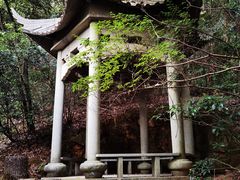 -西湖风景区十里琅珰-五云山