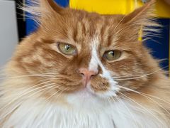 -吉派索自家烘焙咖啡馆(千佛山店)