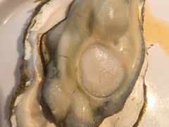 高压锅生蚝.-杨氏青龙虾·羊蝎子(金盛路总店)