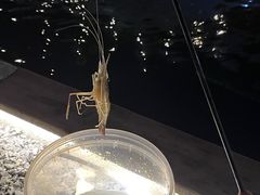 -DGE季风钓虾营地·团建·聚会
