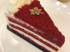 -法桐蛋糕·手作面包(万象城店)