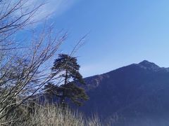 -五台山风景区
