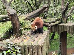-云南野生动物园