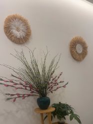 -御品•瑶浴灸疗SPA