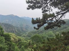 -雁门关景区