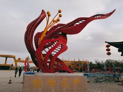 -金塔沙漠胡杨林景区