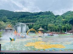 -西双版纳原始森林公园