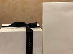 -BLACKSWAN黑天鹅(环球店)