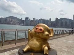 -星光大道