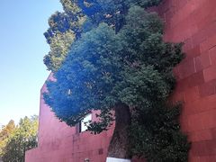 -中国美术学院象山校区-民艺博物馆