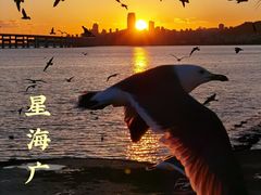 -星海广场