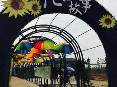 -杭州湾海上花田景区