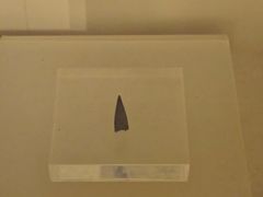 -昂昂溪遗址博物馆