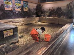 -造物庄园 萌宠纪(苏州湾歌林公园店)