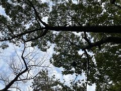 -西园寺