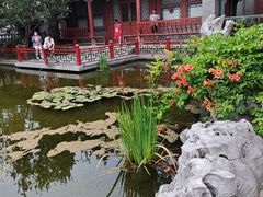 -月坛公园
