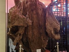 -深圳雅邦朗悦国际酒店