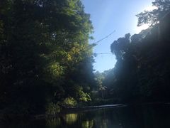 -乌鲁淡布隆国家公园