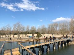 -东郊湿地公园