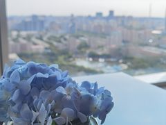 -北京康莱德酒店