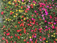 -无锡市市民中心