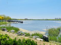 -天津东丽湖风景区