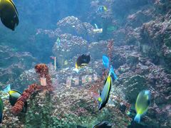 -海合安青岛极地海洋公园