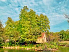 -上海共青森林公园