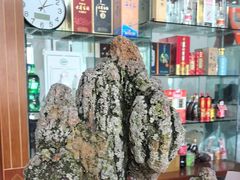 -君豪蟹都·湖景·农家乐(蟹舫苑店)