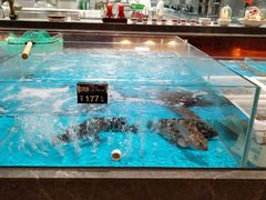 -艳阳天·非遗楚菜(武汉客厅店)