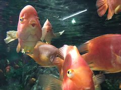 景点-福州罗源湾海洋世界旅游区