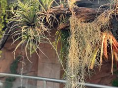 -北京植物园-展览温室