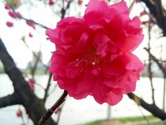 -天鹅湖体育公园