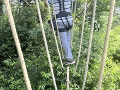 -芦仙山景区-飞越丛林探险乐园