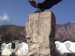 -北京鹫峰国家森林公园