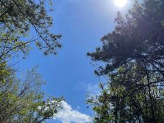 -辛安庄鸡鸣山景区