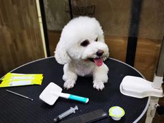 -汪小喵宠物·戴维斯乐芳希施宠馨宝皮毛调理洗护店