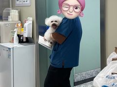 -申普宠物医院·心脏介入·心血管微创(总院)
