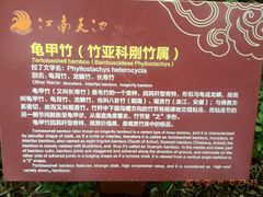 android_upload_pic-江南天池