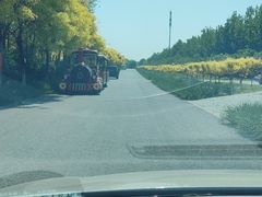 -西青郊野公园
