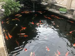 -顺德了能馆(虎门店)