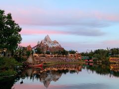 -奥兰多迪士尼动物王国乐园