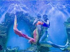 -瑞德姆美人鱼海底演艺主题餐厅(亚龙湾店)