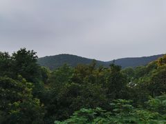 -宝界山林公园