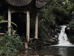 -大奇山国家森林公园